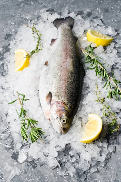 Truite Crue Sur Glace Ingrédients Romarin Citron Fond Gris Vue — Photo