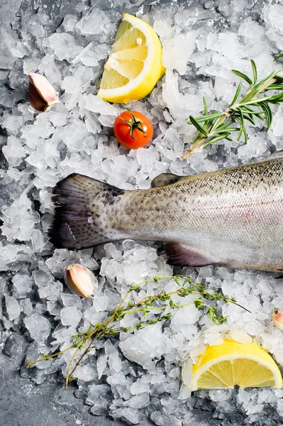 Raw Trout Ice Ingredients Rosemary Lemon Tomatoes Garlic Gray Background — Stock Photo, Image