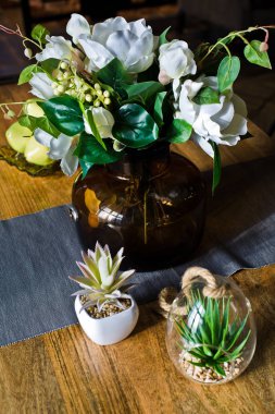 Succulents tablo, ev yapımı kaktüs bitki üzerinde bir tencerede. Tasarım, iç. Yan görünüm