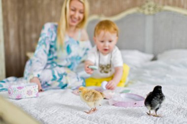 Yatakta canlı tavuk ile oynayan bebek.