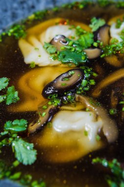 çorba mantı tavuk suyu ile mantar ve otlar, karanlık backgro