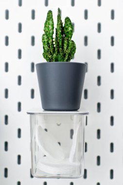 Doğal Pamuk pamuk tampon, plastik, olmadan kavram sıfır atık,