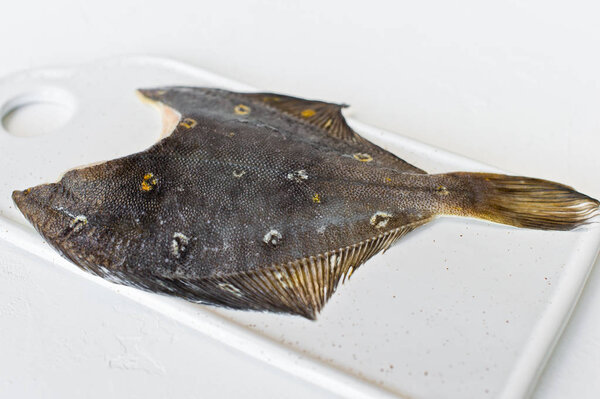 Raw flounder. White background, side view, space for text.