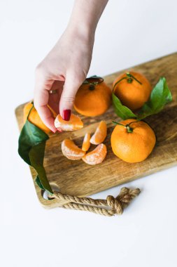 Beyaz arka planda bir şube ile el tutarak Mandarine.