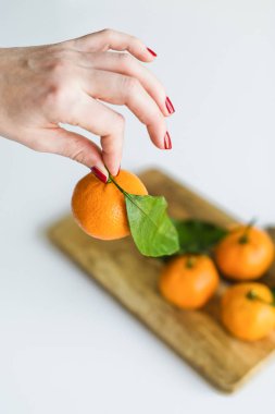 Beyaz arka planda bir şube ile mandalina tutan el.
