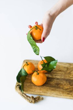 Beyaz arka planda bir şube ile mandalina tutan el.
