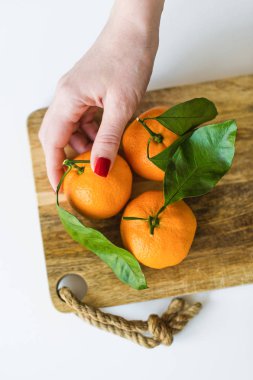 Beyaz arka planda bir şube ile mandalina tutan el.