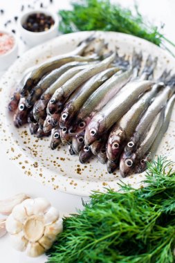 Çiğ bir tabak, dereotu, pembe tuz, biber ve sarımsak üzerinde kokuyordu. Beyaz arka plan, üst görünüm, metin için alan.