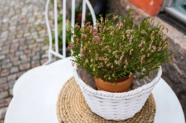 Masa ve iki beyaz sandalye sokak kafesi. Porvoo, Finlandiya