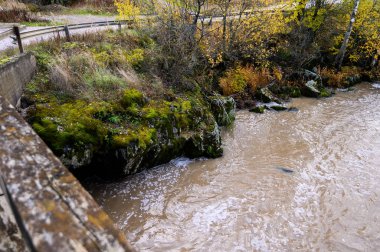 Akıntılı dağ nehri