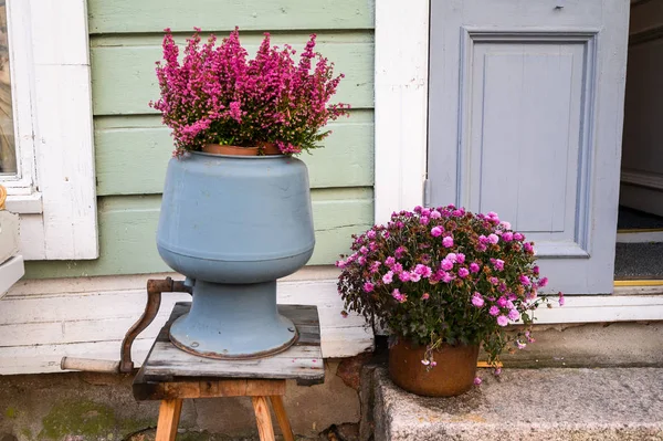 Erika pink in a red pot on the street. — Stockfoto