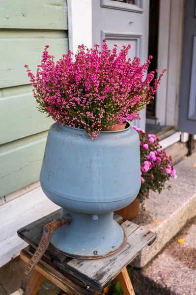 Erika pink in a red pot on the street. — Stockfoto