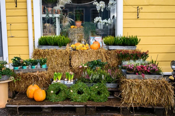 10.10.2019 Porvoo, Finland. Flower shop, a colorful display of f — Stockfoto