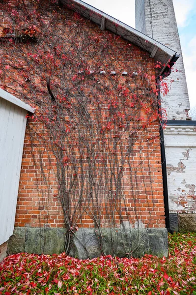 Brick red wall of a house with autumn red leaves