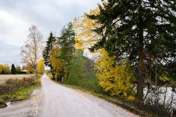 Podzimní pohled na turistickou stezku v parku Beacon Hill. Helsinky, F — Stock fotografie