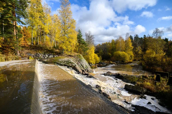 Elven i skogen med stryk. Høsten. Forstaden Helsingfors, Fin – stockfoto