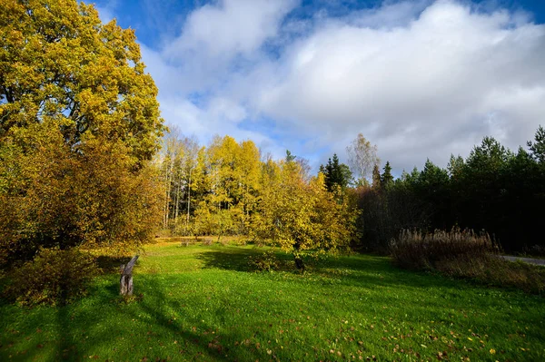 Suburb Of Helsinki, Finland. Autumn landscape, trees with yellow