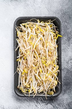 Siyah plastik kabın içinde fasulye filizi. Beyaz arka plan. Üst görünüm.