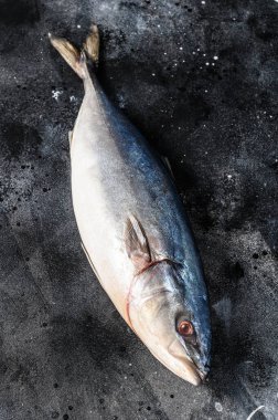 Çiğ Japon sarıkuyruğu. Taze Balık Amberjack. Siyah arka plan. Üst görünüm.