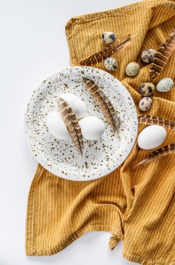 Beyaz yumurtalı ve tüylü beyaz arka plan. Beyaz arka plan. Üst görünüm.