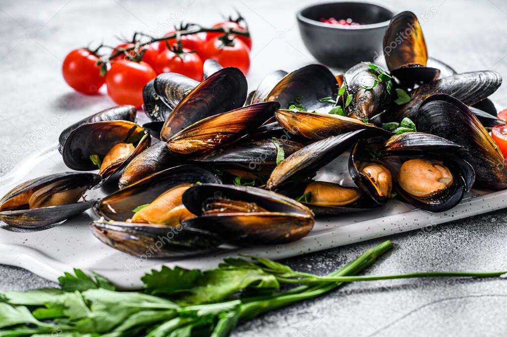 Fresh uncooked mussels in shells. The concept of cooking in tomato sauce with parsley. Gray background. Top view.