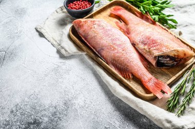 Çiğ kırmızı levrek. Gri arka plan. Üst Manzara. Metin için boşluk.