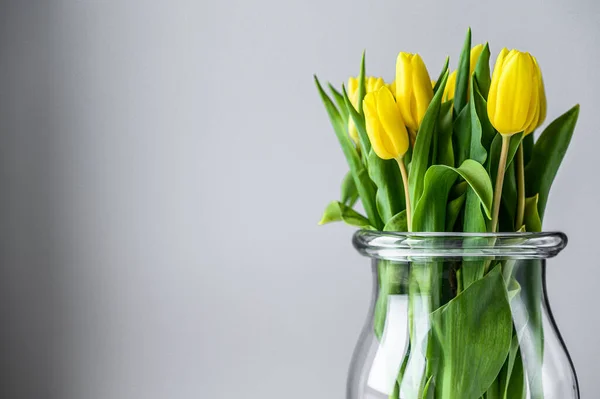Jarrón Transparente Con Tulipanes Amarillos Sobre Fondo Gris Vista Lateral — Foto de Stock
