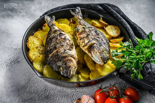 Tavada patates ile ızgara Dorado balığı. Gri arka plan. en üstteki görünüm.