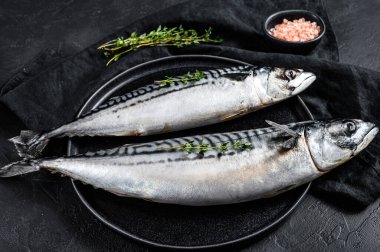 Çiğ uskumru balığı, kekik ve pembe tuz. Taze deniz ürünleri. Siyah arka plan. Üst görünüm.