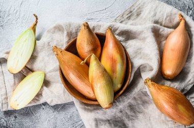 Çiğ Shallot soğanı, ikiye bölünmüş. Gri arka plan. Üst görünüm.