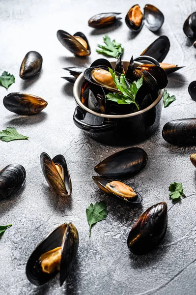 Mexilhões Frescos Molho Vinho Conceito Cozinhar Frutos Mar Fundo Cinzento — Fotografia de Stock