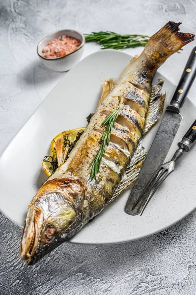 Zander Alla Griglia Walleye Pesce Con Erbe Limone Piatto Fondo — Foto Stock