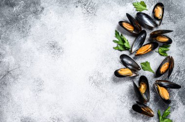 Çiğ taze midye. Gri arka plan. Üst Manzara. Metin için boşluk.