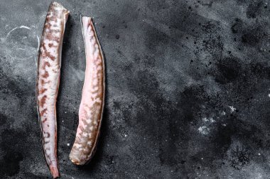 Çiğ deniz yılanbalığı. Siyah arka plan. Üst Manzara. Boşluğu kopyala.