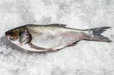 Çiğ balık gümüşü sazan balığı. Gri arka plan. Üst görünüm.
