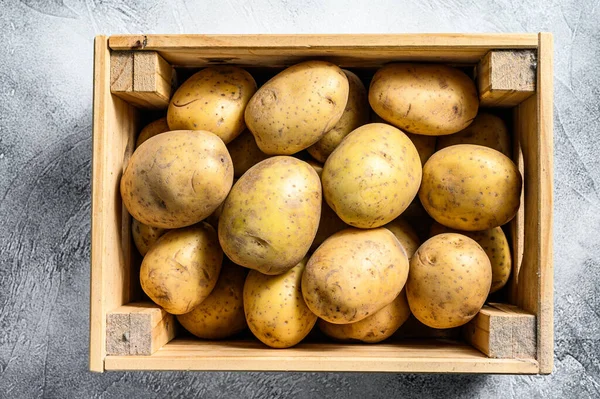 Πρώτες Κίτρινες Βιολογικές Πατάτες Ξύλινο Κουτί Γκρι Φόντο Άνω Όψη — Φωτογραφία Αρχείου