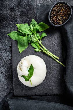 Basil yapraklı İtalyan Burrata peyniri. Siyah arka plan. Üst görünüm.