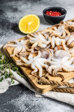 Tahta bir kasede kekik ve limonlu çiğ bebek ahtapot. Organik deniz ürünleri. Gri arka plan. Üst görünüm.