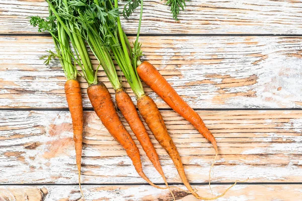 Tuoreita porkkanoita vihreillä lehdillä. Valkoinen tausta. Yläkuva — kuvapankkivalokuva