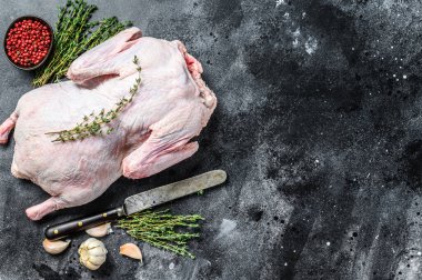 Pişirmeye hazır baharatlı çiğ kaz. Karanlık arka plan. Üst Manzara. Boşluğu kopyala.