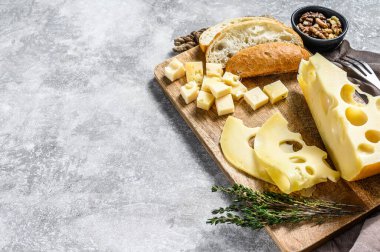 Delikli sarı peynir, süt ürünleri. Gri arka plan. Üst Manzara. Boşluğu kopyala.