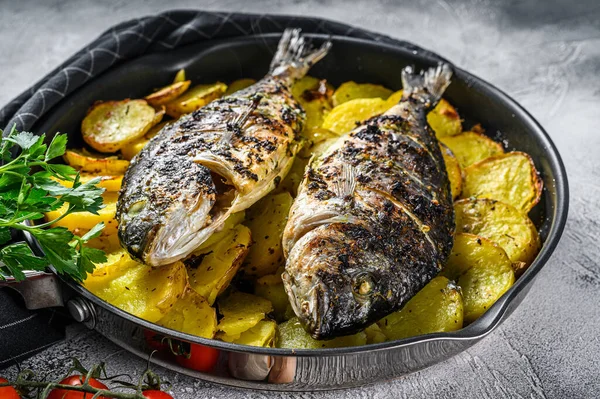 Grilled Sea Bream Fish Potatoes Pan Gray Background Top View — Stock Photo, Image