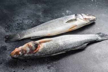 Taze çiğ levrek balığı. Siyah arka plan. Üst görünüm.