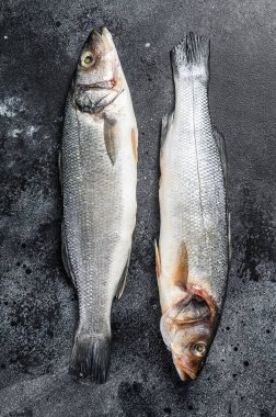 Taze çiğ levrek balığı. Siyah arka plan. Üst görünüm.