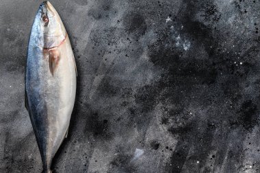 Çiğ Japon sarıkuyruğu. Taze Balık Amberjack. Siyah arka plan. Üst Manzara. Boşluğu kopyala