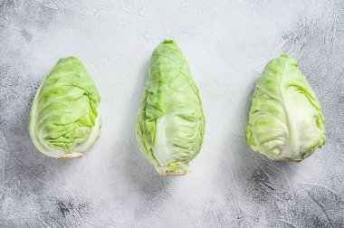 Çiğ sivri uçlu beyaz lahana kafa. Beyaz arka plan. Üst görünüm.