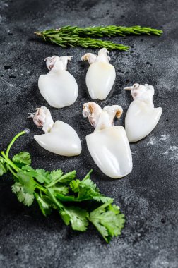 Biberiye ve maydanozlu taze çiğ mürekkep balığı. Siyah arka plan. Üst görünüm.