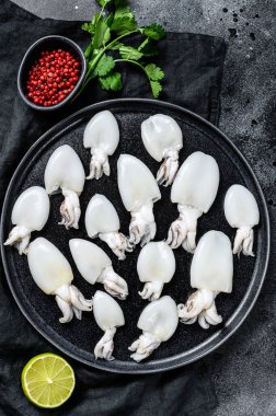 Biberiye ve maydanozlu taze mürekkep balığı. Siyah arka plan. Üst görünüm.