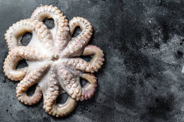 Taze çiğ ahtapot, organik deniz ürünleri. Siyah arka plan. Üst Manzara. Boşluğu kopyala.