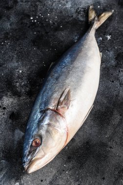 Taze, çiğ Japon sarıkuyruğu. Balık Amberjack. Siyah arka plan. Üst görünüm.